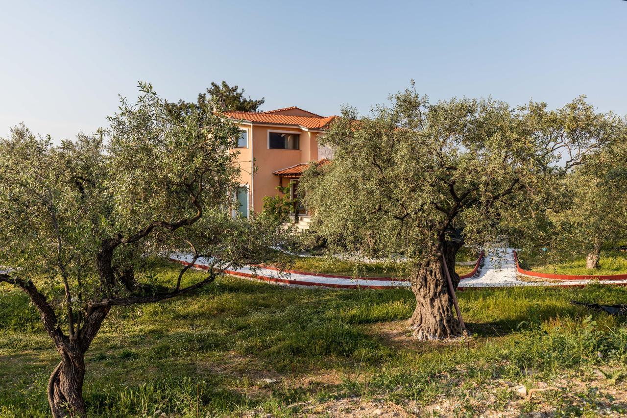 Fokas Luxury Villa Prinos  Exterior photo